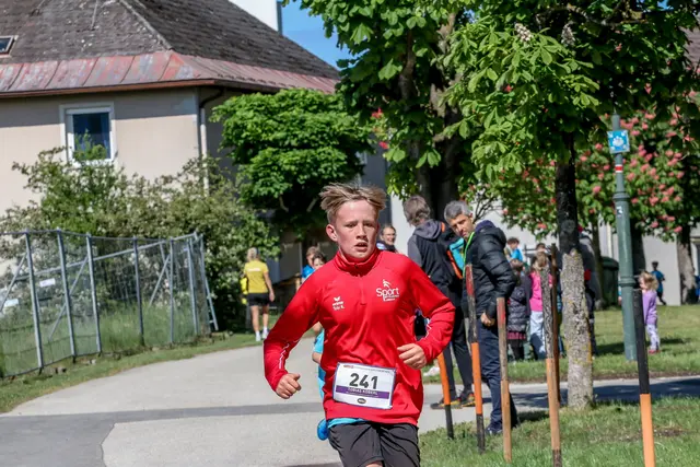 Foto: Hans Feitzinger
