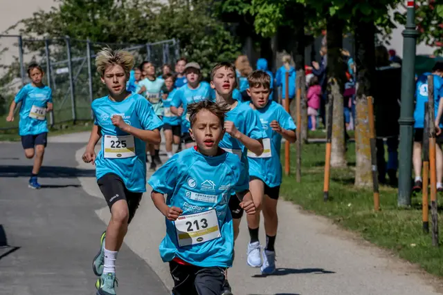 Foto: Hans Feitzinger