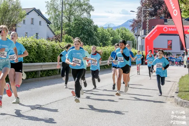 Foto: Hans Feitzinger