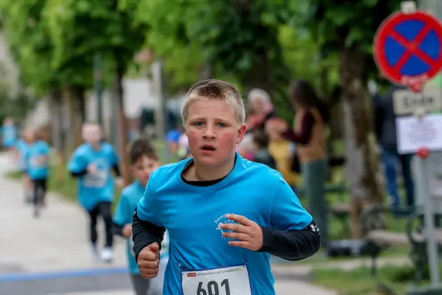 Foto: Hans Feitzinger