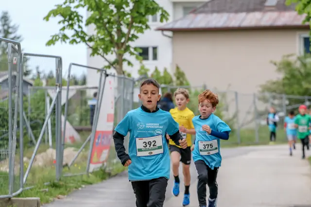 Foto: Hans Feitzinger