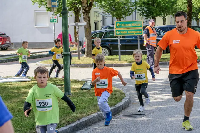 Foto: Hans Feitzinger