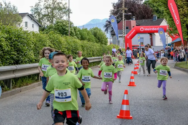 Foto: Hans Feitzinger