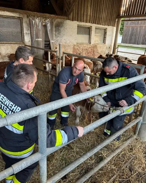 Eine Tierrettung ist immer eine große Herausforderung. | Foto: FF Gastern