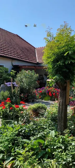 Riegler Klinger Anna und Johann, Königstetten NÖ.
