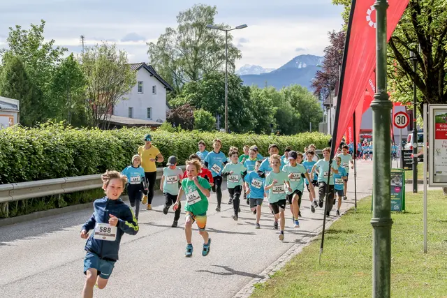 Foto: Hans Feitzinger