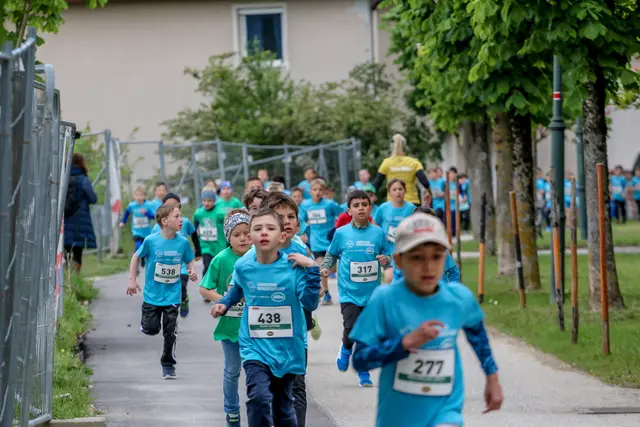 Foto: Hans Feitzinger