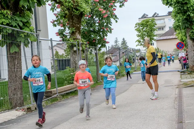 Foto: Hans Feitzinger