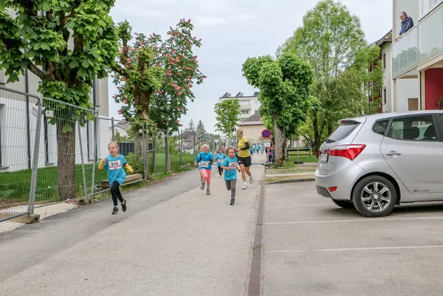 Foto: Hans Feitzinger