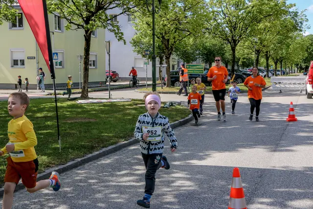 Foto: Hans Feitzinger