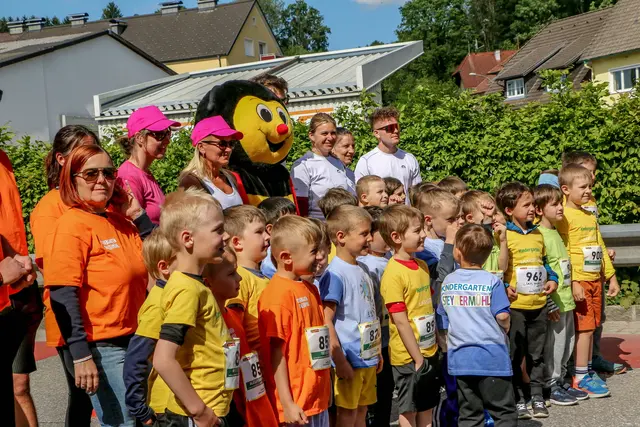 Foto: Hans Feitzinger