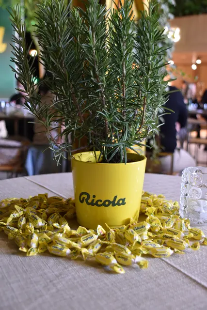 Foto: Patricia Hillinger/MeinBezirk