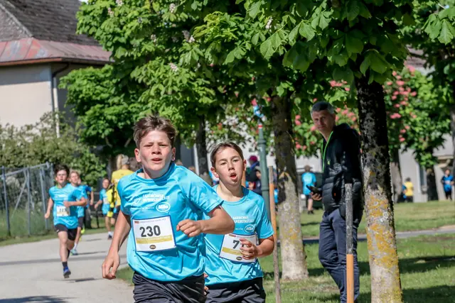 Foto: Hans Feitzinger