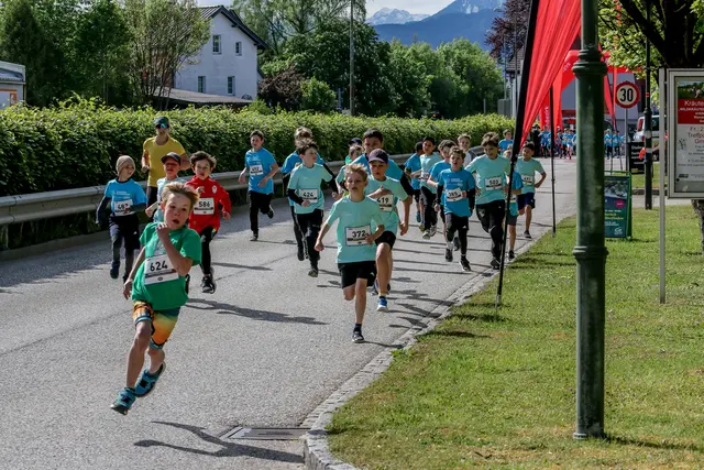 Foto: Hans Feitzinger