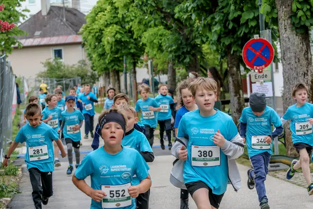 Foto: Hans Feitzinger