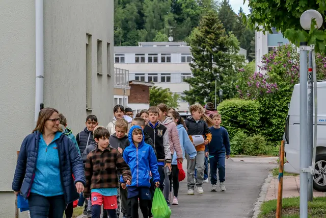 Foto: Hans Feitzinger