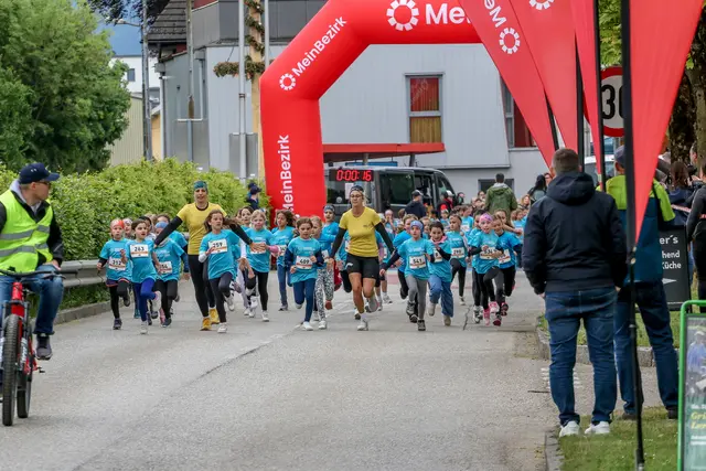 Foto: Hans Feitzinger