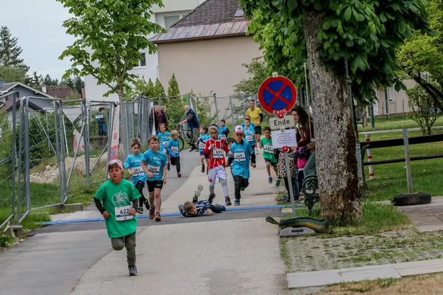 Foto: Hans Feitzinger