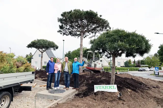 Vizebürgermeisterin Michaela Haidvogel, Anton Starkl, Infrastruktur-Leiter Franz Grill und Wirtschaftshofleiter Peter Fröhlich bei den Pflanzarbeiten am neuen Kreisverkehr. | Foto: Marktgemeinde Maria Enzersdorf