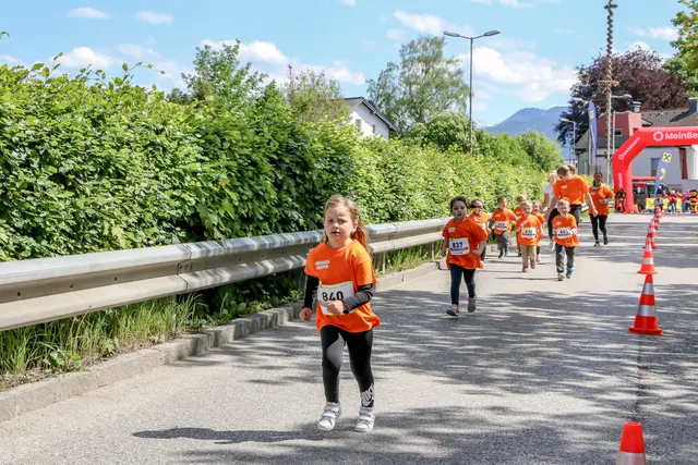 Foto: Hans Feitzinger