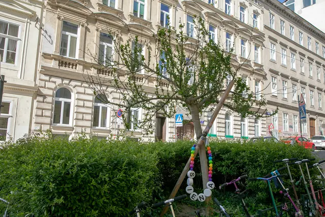Laut der MA 42 könne der Strauch Windbelastungen mittlerweile nicht mehr ausreichend standhalten.  | Foto: BV6