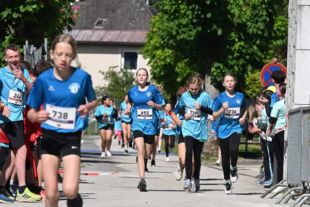 Foto: Wolfgang Spitzbart