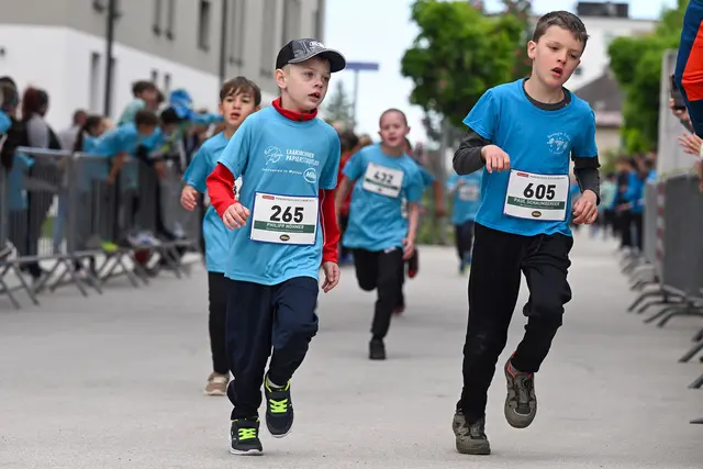 Foto: Wolfgang Spitzbart