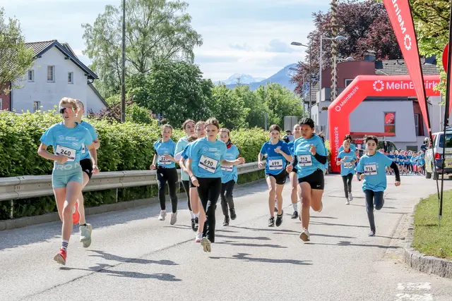 Foto: Hans Feitzinger