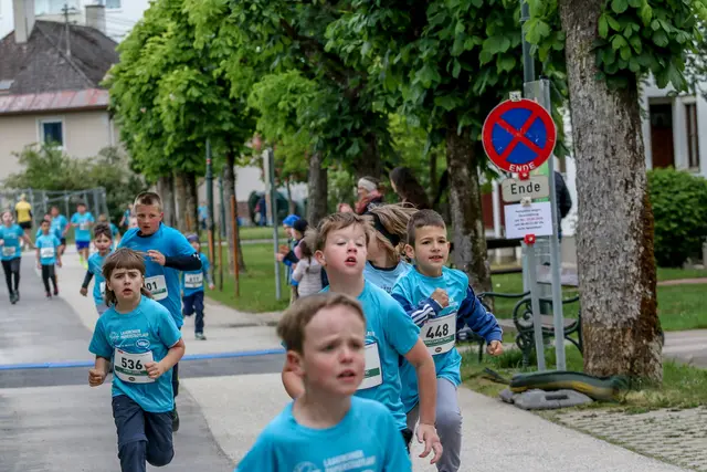 Foto: Hans Feitzinger