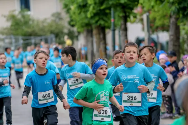 Foto: Hans Feitzinger