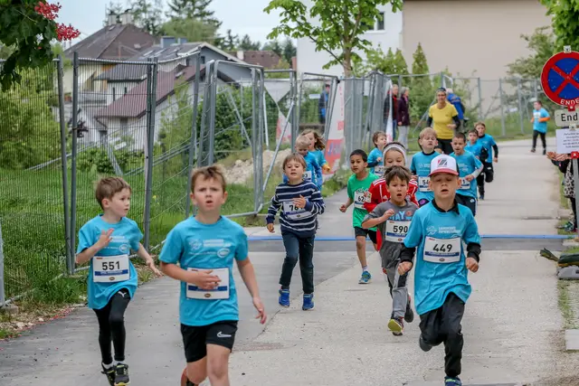 Foto: Hans Feitzinger