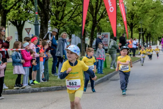 Foto: Hans Feitzinger