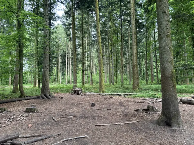 Foto: MeinBezirk/Anja Kern