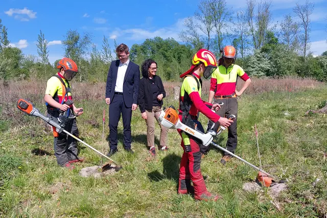 Schülerinnen und Schüler der Landwirtschaftlichen Fachschule Kleßheim sind im Einsatz, um die Projekte zu pflegen und zu fördern. Im Bild: Landesrätin Daniela Gutschi, Landesrat Maximilian Aigner und Schüler der LFS Kleßheim bei der Pflege der jungen Eschen. | Foto: Land Salzburg/Alexander Paier