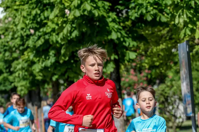 Foto: Hans Feitzinger