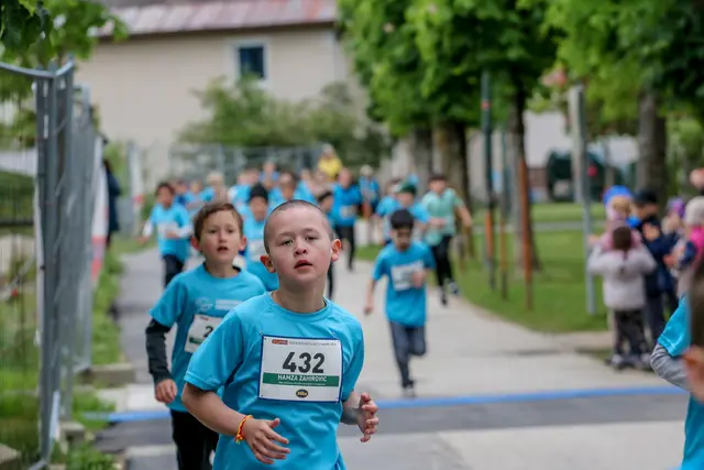 Foto: Hans Feitzinger