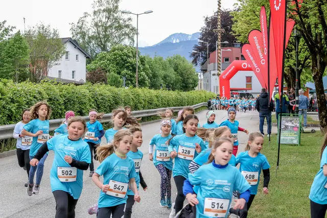 Foto: Hans Feitzinger
