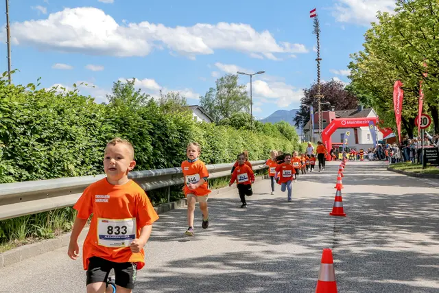 Foto: Hans Feitzinger