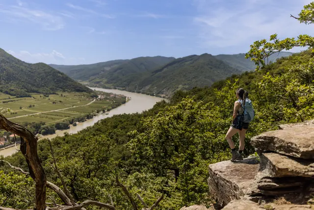 Weltrbesteig Wachau | Foto: Donau Niederösterreich, Olga Brecht