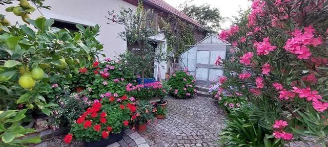 Riegler Klinger Anna und Johann, Königstetten NÖ.