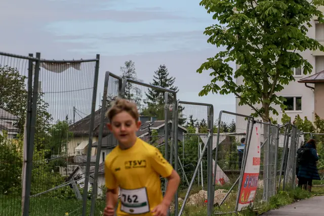 Foto: Hans Feitzinger