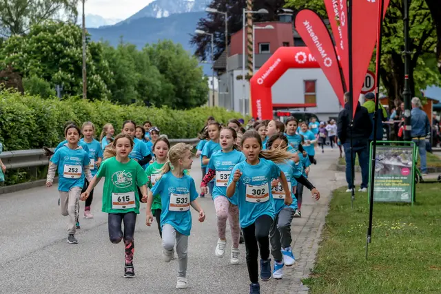 Foto: Hans Feitzinger