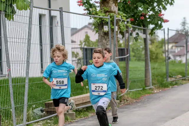 Foto: Hans Feitzinger