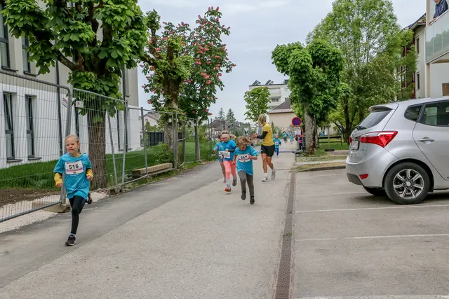 Foto: Hans Feitzinger