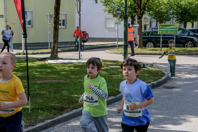 Foto: Hans Feitzinger