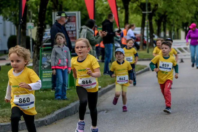 Foto: Hans Feitzinger
