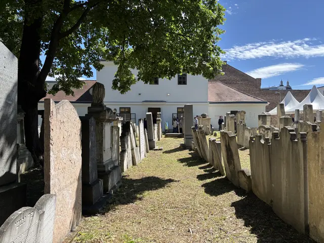 Die Grabsteine am Jüdischen Friedhof Währing wurden freigelegt, manche wurden wieder aufgestellt. | Foto: Mathias Kautzky/MeinBezirk
