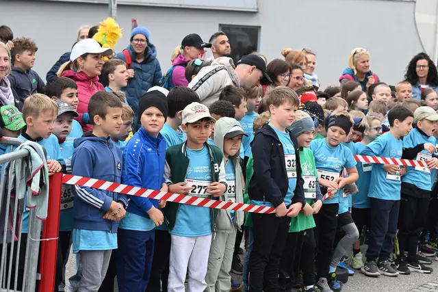 Foto: Wolfgang Spitzbart