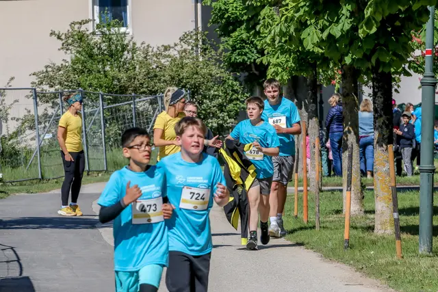 Foto: Hans Feitzinger