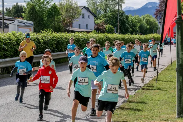 Foto: Hans Feitzinger
